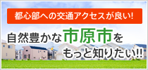 ���R�L���Ȏs���s�������ƒm�肽��!�I